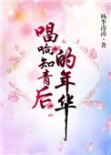 知青晚会歌曲联唱