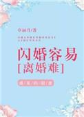 闪婚容易离婚难笔趣阁