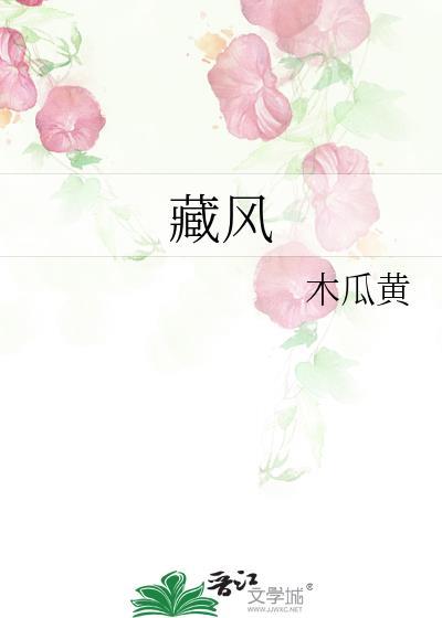 藏风讲的什么