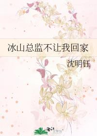 冰山总监不让我回家丁蕾