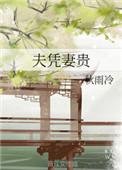 妻凭夫贵评价