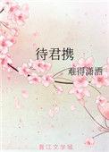 待君携时空网