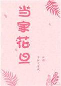 当家花旦全文番外姀锡