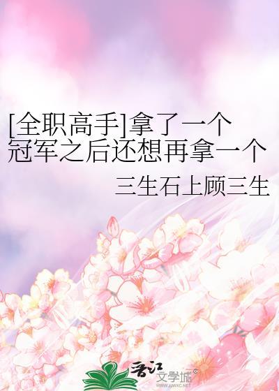 全职高手冠军排行