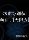 求求你别装萌新了[无限