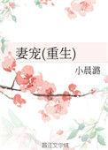 妻宠 最新章节 无弹窗