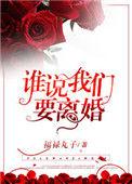 谁说我们要离婚的