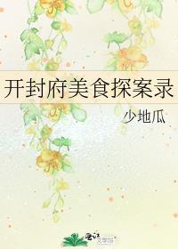 开封府美食探案录TXT