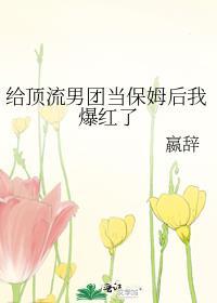 给顶流男团当保姆后我爆红了txt