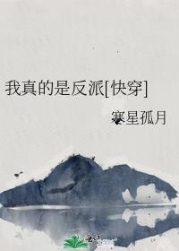 被招婿了作者方便面君