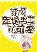 穿成军婚男主的前妻嫣