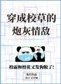 穿成校草的炮灰情敌百度