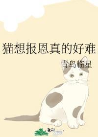 猫想报恩真的好难晋江文学城