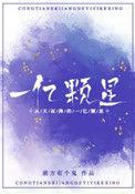 从天而降的一亿颗星星男主女主关系