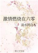 激情然烧在六零
