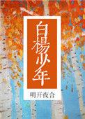 白杨少年讲了什么