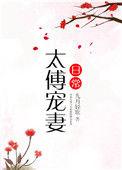 太傅宠妻日常子桑蕴