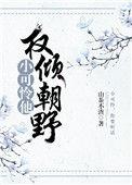小可怜他权倾朝野了63章正版