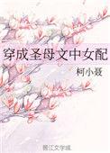 穿成圣母文中女配无防盗无删减