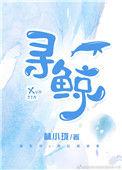 寻鲸互联网