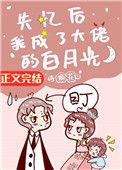 失忆后我成了大佬的白月光 耿