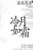 冷月如霜讲的是什么
