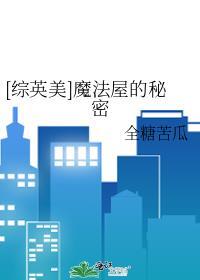 综英美魔法屋的秘密TXT