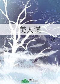 美人谋电视剧免费观看