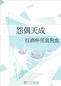 怨偶天成 魏岚txt