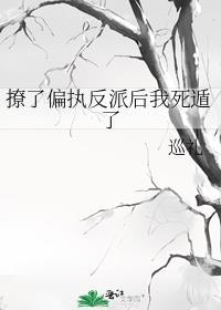 撩了偏执反派后我死遁了梅薇