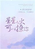 星星之火可以撩你简介
