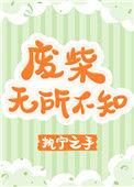废柴无所不知剧透