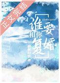 谁要和你复婚TXT百度