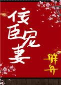 佞臣宠妻无防盗