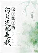 太子死了的白月光是我格格党