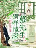 别样情深慕先生电视剧
