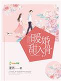 暖婚甜入骨txt百度资源