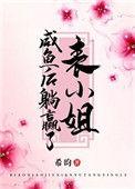 把表小姐撩过火 作者希昀