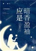 应是暗香盈袖免费阅读完整版
