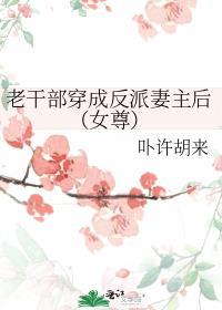 老干部女装