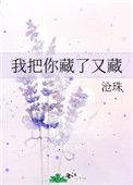 我把你藏了又藏晋江
