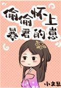 偷偷怀上暴君的仔崽