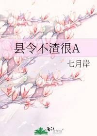 县令不渣很A免费阅读