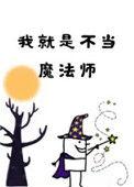 我就是不当魔法师94