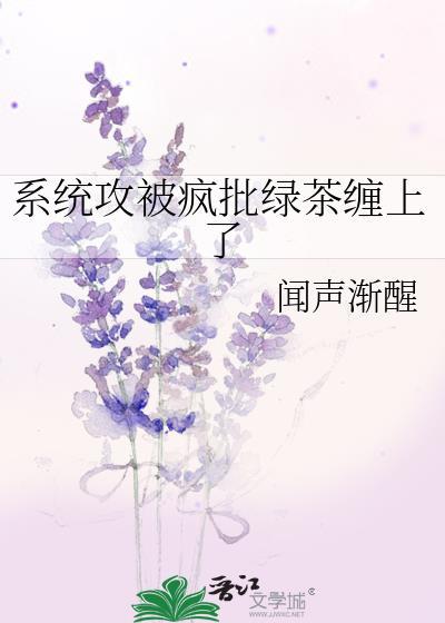 攻受系统文