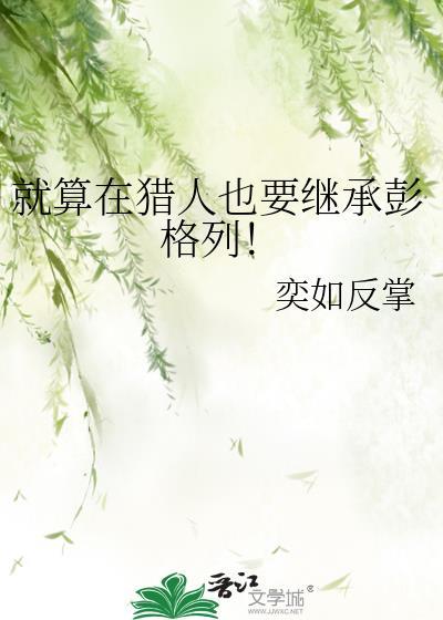 就算在猎人也要继承彭格列笔趣阁