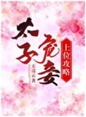 太子宠妾宝珠全文免费阅读