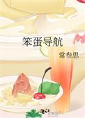 笨蛋导航by笔趣阁TXT