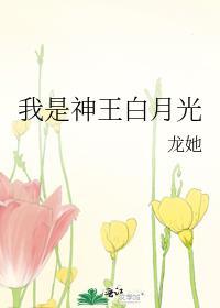 我是神王白月光苏辰最新章节更新内容