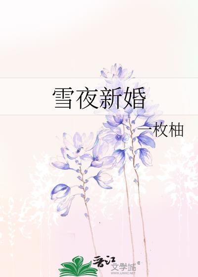雪夜新婚免费阅读全文晋江